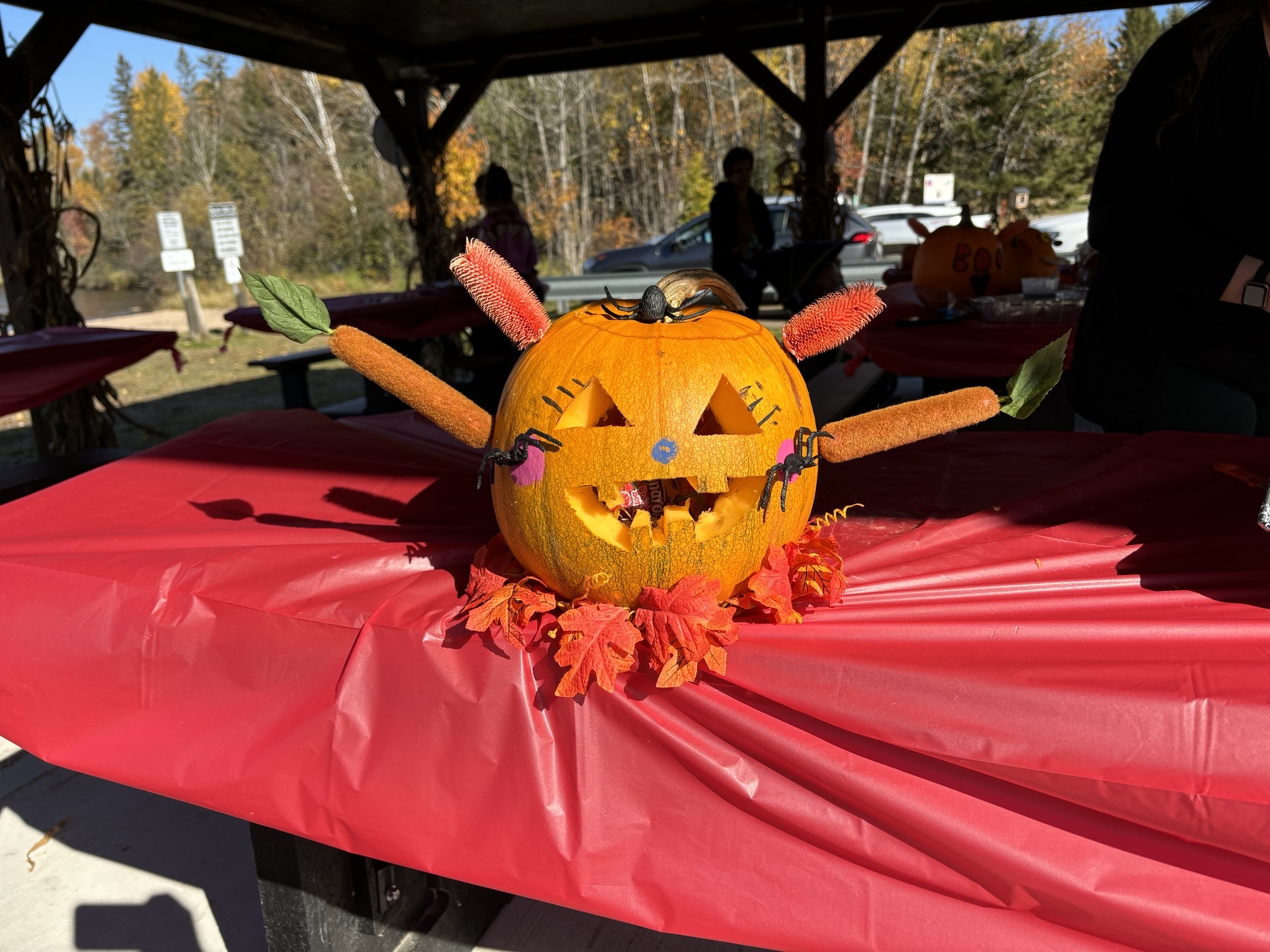 <div class="text-large">Kids Pumpkin Carving Event</div><div class="text-small text-muted">Photo Credit: Rec. Committee</div>